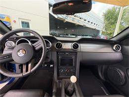 2009 Ford Shelby GT500  (CC-2115103) for sale in Bradenton, Florida