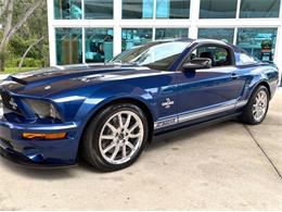 2009 Ford Shelby GT500  (CC-2115103) for sale in Bradenton, Florida
