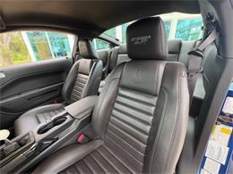 2009 Ford Shelby GT500  (CC-2115103) for sale in Bradenton, Florida