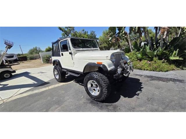 1987 Jeep Wrangler (CC-2115108) for sale in Cadillac, Michigan