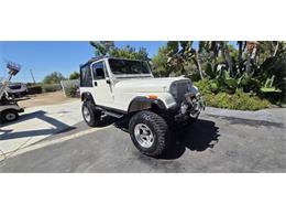 1987 Jeep Wrangler (CC-2115108) for sale in Cadillac, Michigan