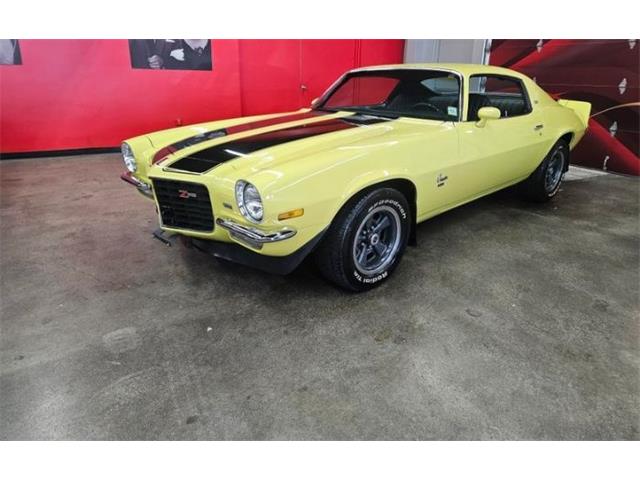1973 Chevrolet Camaro (CC-2115114) for sale in Cadillac, Michigan
