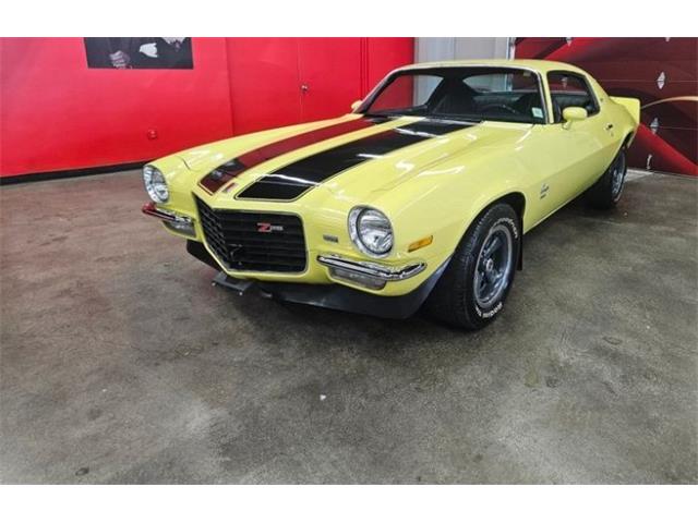 1973 Chevrolet Camaro (CC-2115114) for sale in Cadillac, Michigan