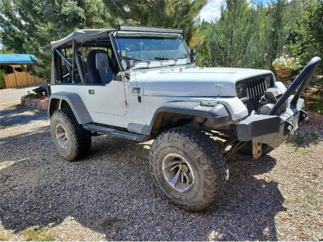 1989 Jeep Wrangler (CC-2110514) for sale in Cadillac, Michigan