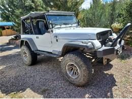 1989 Jeep Wrangler (CC-2110514) for sale in Cadillac, Michigan