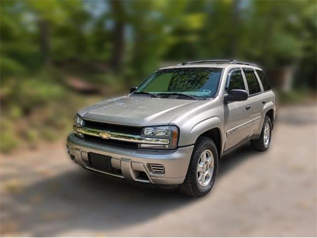 2002 Chevrolet Trailblazer (CC-2115141) for sale in Cadillac, Michigan
