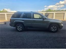 2002 Chevrolet Trailblazer (CC-2115141) for sale in Cadillac, Michigan