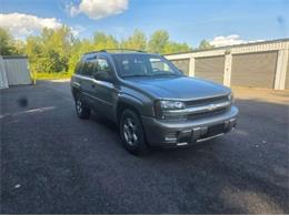 2002 Chevrolet Trailblazer (CC-2115141) for sale in Cadillac, Michigan