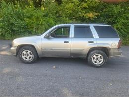 2002 Chevrolet Trailblazer (CC-2115141) for sale in Cadillac, Michigan