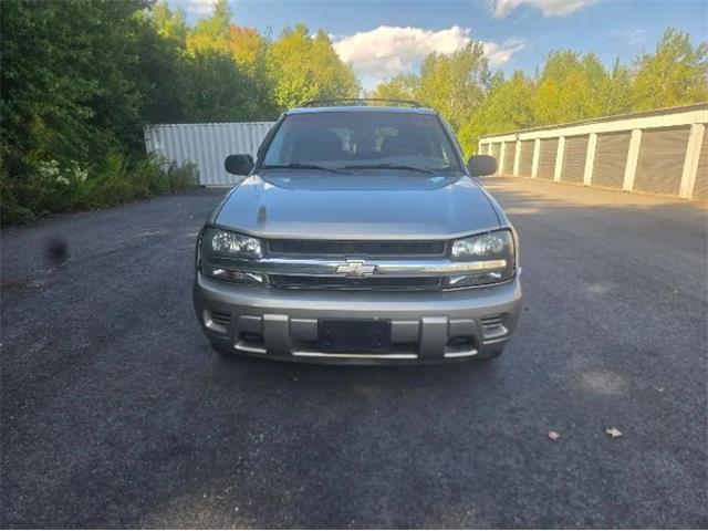 2002 Chevrolet Trailblazer (CC-2115141) for sale in Cadillac, Michigan