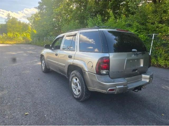2002 Chevrolet Trailblazer (CC-2115141) for sale in Cadillac, Michigan