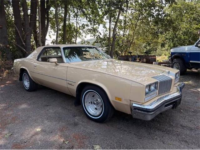 1977 Oldsmobile Cutlass (CC-2115152) for sale in Cadillac, Michigan