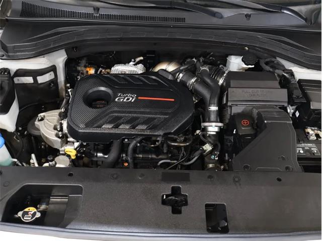 2020 Hyundai Santa Fe (CC-2115168) for sale in Greensboro, North Carolina