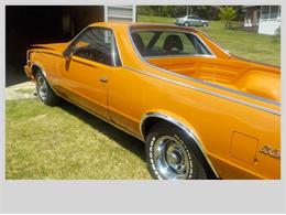 1981 Chevrolet El Camino (CC-2110052) for sale in Cadillac, Michigan