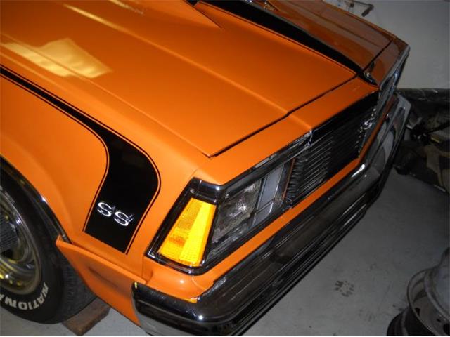 1981 Chevrolet El Camino (CC-2110052) for sale in Cadillac, Michigan