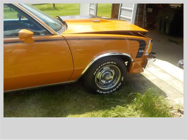 1981 Chevrolet El Camino (CC-2110052) for sale in Cadillac, Michigan