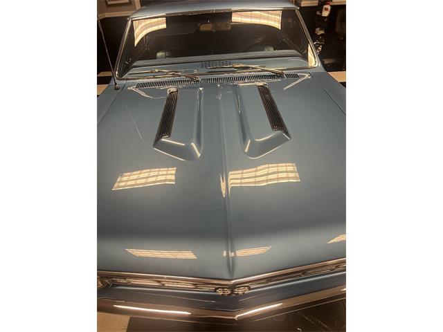 1967 Chevrolet Chevelle SS (CC-2115255) for sale in Punta Gorda, Florida