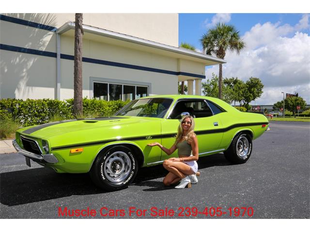 1973 Dodge Challenger (CC-2115269) for sale in Fort Myers, Florida