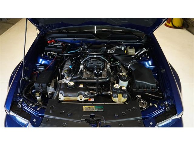 2007 Shelby GT500 (CC-2115278) for sale in Stratford, Ontario