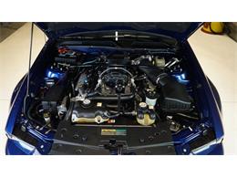 2007 Shelby GT500 (CC-2115278) for sale in Stratford, Ontario