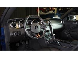 2007 Shelby GT500 (CC-2115278) for sale in Stratford, Ontario
