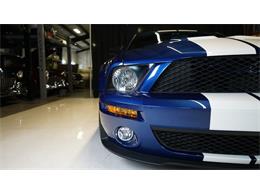 2007 Shelby GT500 (CC-2115278) for sale in Stratford, Ontario