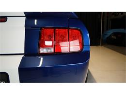 2007 Shelby GT500 (CC-2115278) for sale in Stratford, Ontario