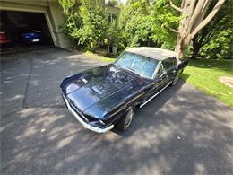 1967 Ford Mustang (CC-2115288) for sale in Waconia, Minnesota