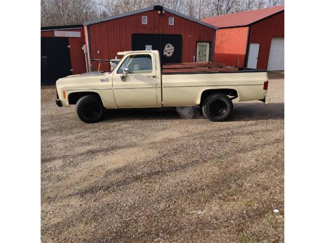 1978 Chevrolet C10 (CC-2110533) for sale in Cadillac, Michigan
