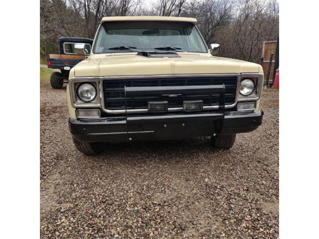 1978 Chevrolet C10 (CC-2110533) for sale in Cadillac, Michigan