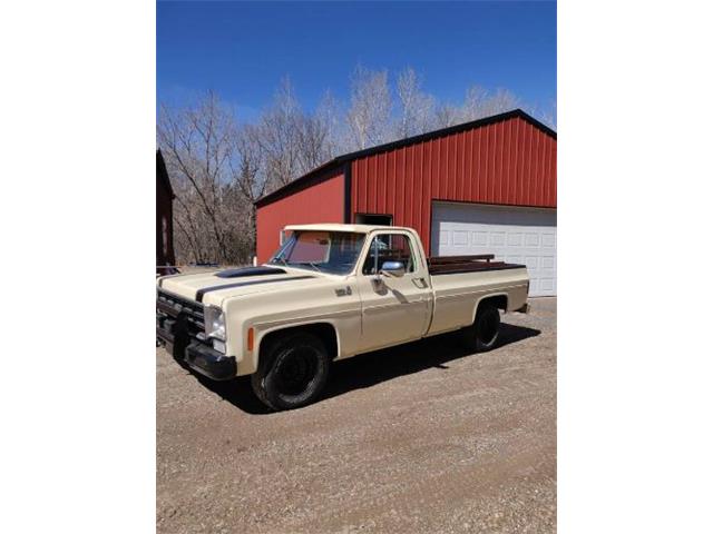 1978 Chevrolet C10 (CC-2110533) for sale in Cadillac, Michigan