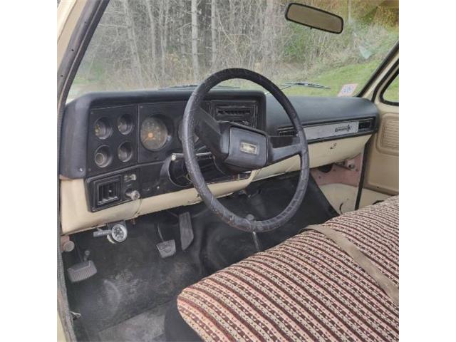 1978 Chevrolet C10 (CC-2110533) for sale in Cadillac, Michigan