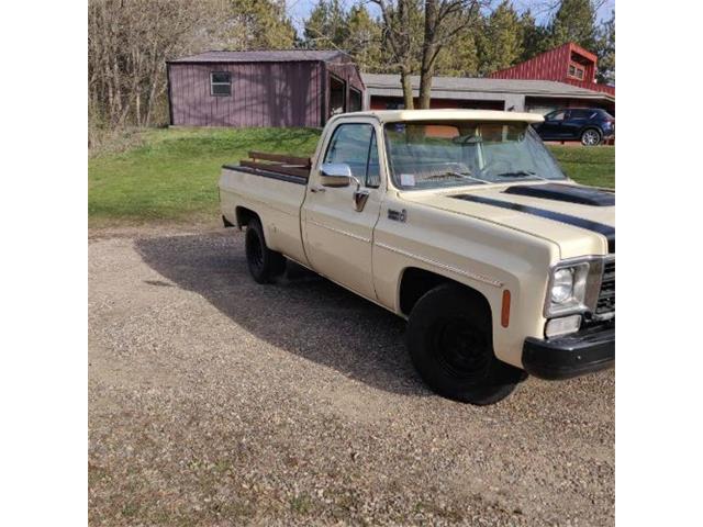 1978 Chevrolet C10 (CC-2110533) for sale in Cadillac, Michigan