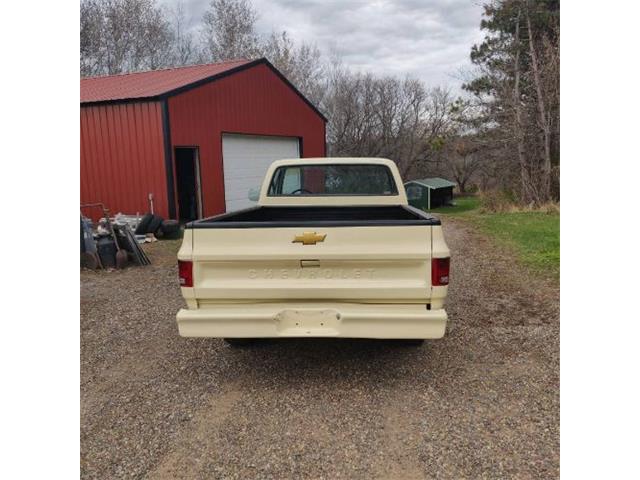 1978 Chevrolet C10 (CC-2110533) for sale in Cadillac, Michigan