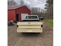1978 Chevrolet C10 (CC-2110533) for sale in Cadillac, Michigan