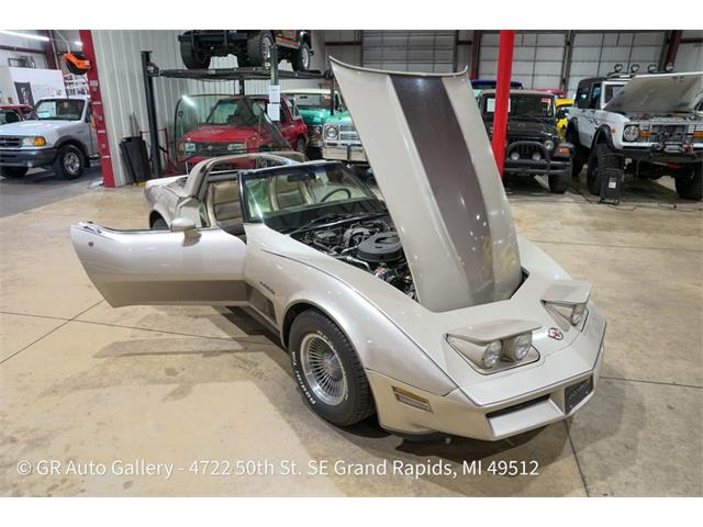 1982 Chevrolet Corvette (CC-2115340) for sale in Kentwood, Michigan