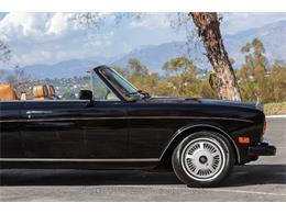 1988 Rolls-Royce Corniche II (CC-2115345) for sale in Beverly Hills, California