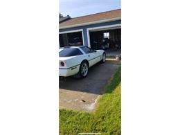1990 Chevrolet Corvette (CC-2110535) for sale in Cadillac, Michigan