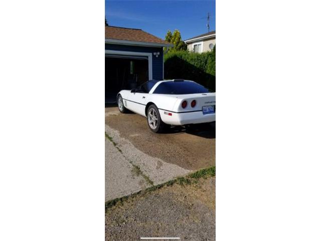 1990 Chevrolet Corvette (CC-2110535) for sale in Cadillac, Michigan