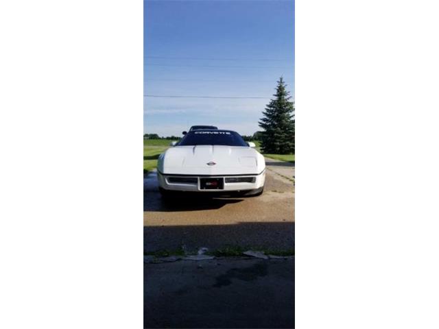 1990 Chevrolet Corvette (CC-2110535) for sale in Cadillac, Michigan