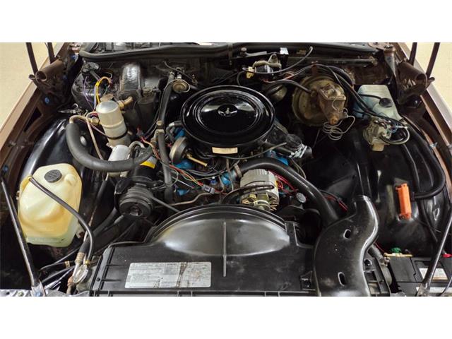 1979 Pontiac Bonneville (CC-2115362) for sale in Mankato, Minnesota