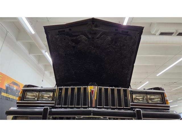 1979 Pontiac Bonneville (CC-2115362) for sale in Mankato, Minnesota