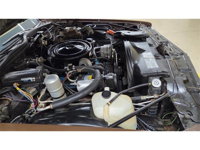 1979 Pontiac Bonneville (CC-2115362) for sale in Mankato, Minnesota