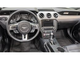 2017 Ford Mustang (CC-2115364) for sale in Mankato, Minnesota