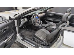 2017 Ford Mustang (CC-2115364) for sale in Mankato, Minnesota
