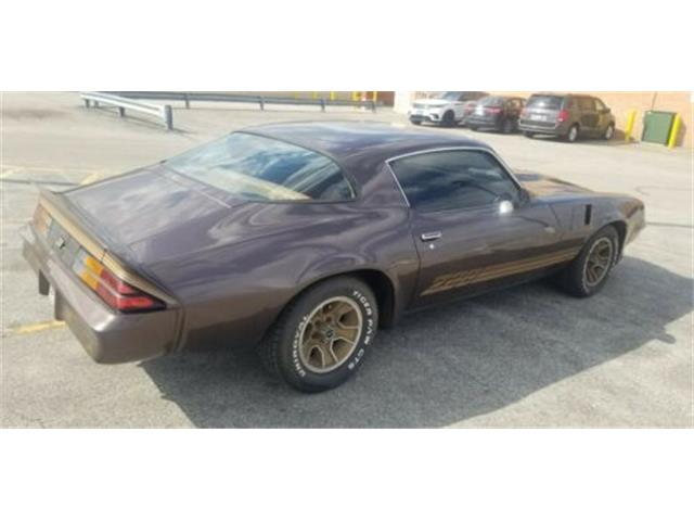 1980 Chevrolet Camaro (CC-2110537) for sale in Cadillac, Michigan