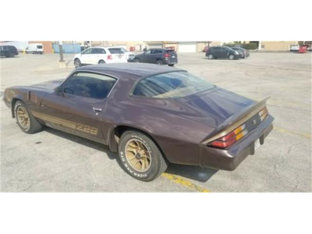 1980 Chevrolet Camaro (CC-2110537) for sale in Cadillac, Michigan