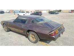 1980 Chevrolet Camaro (CC-2110537) for sale in Cadillac, Michigan