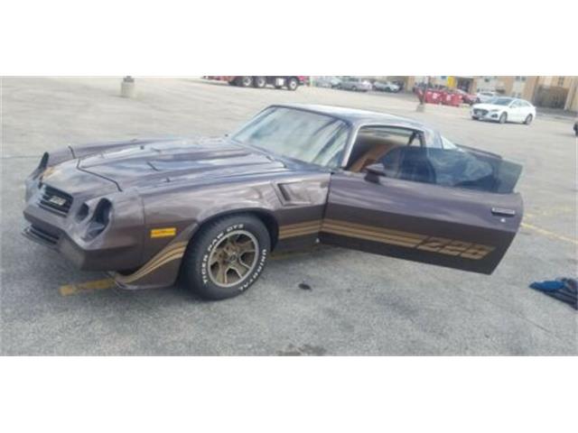 1980 Chevrolet Camaro (CC-2110537) for sale in Cadillac, Michigan