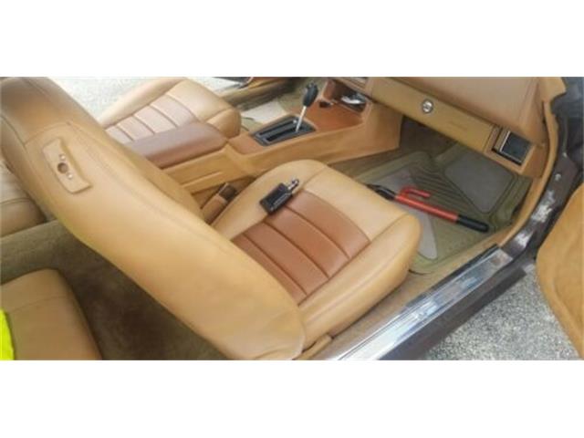 1980 Chevrolet Camaro (CC-2110537) for sale in Cadillac, Michigan